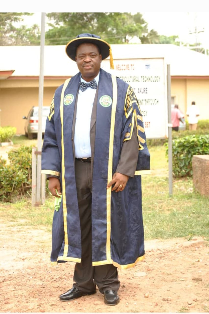 Dr. Samson Adeola Odedina in his official portrait as Provost of the College.